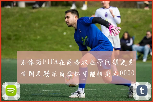 东体若FIFA在商务权益等问题更灵活国足踢东南亚杯可能性更大0000644